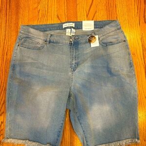 Women's plus size blue shorts by Lany Bryant size 20
